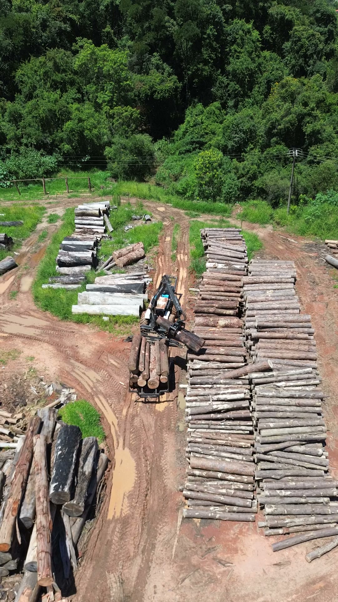 Pátio de toras de reflorestamento da Madeireira Oliveira — fotografia aérea real da empresa.